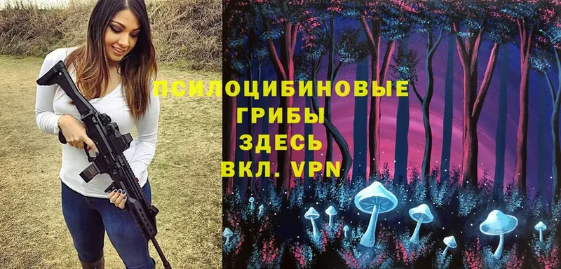 Псилоцибиновые грибы Psilocybe  ссылка на мегу зеркало  Бокситогорск  цена  